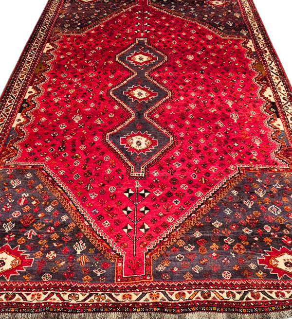 Persian Qashqai - Image 5