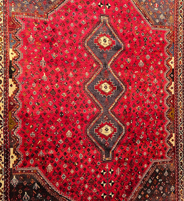 Persian Qashqai - Image 6