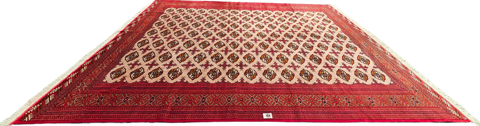 Pakistani Bukhara - Image 6