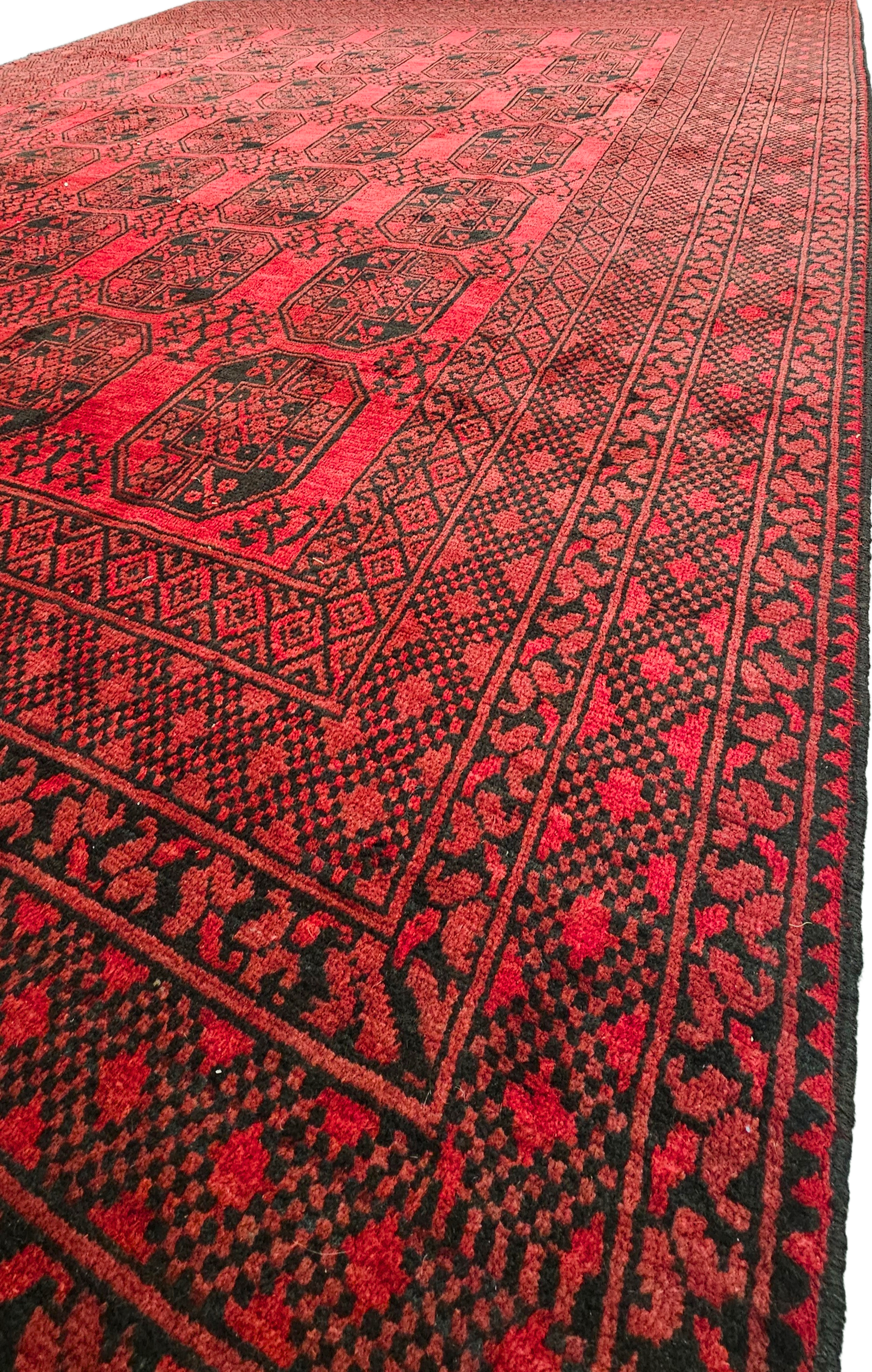 Persian Akcha - Image 2