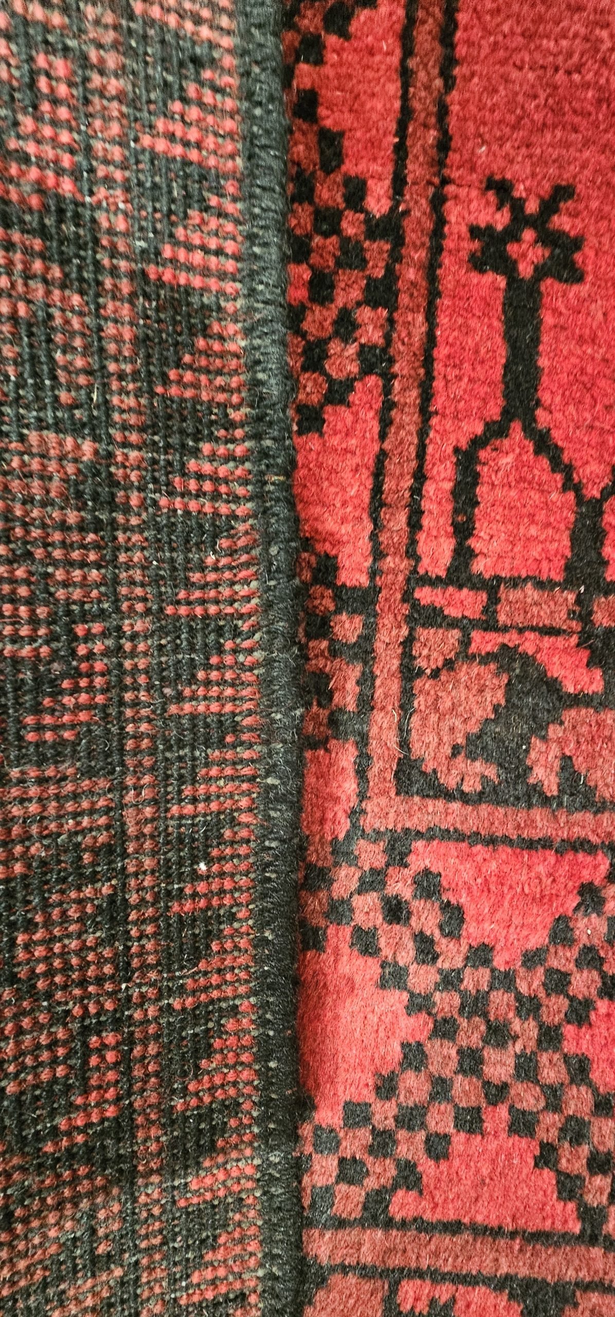 Persian Akcha - Image 6