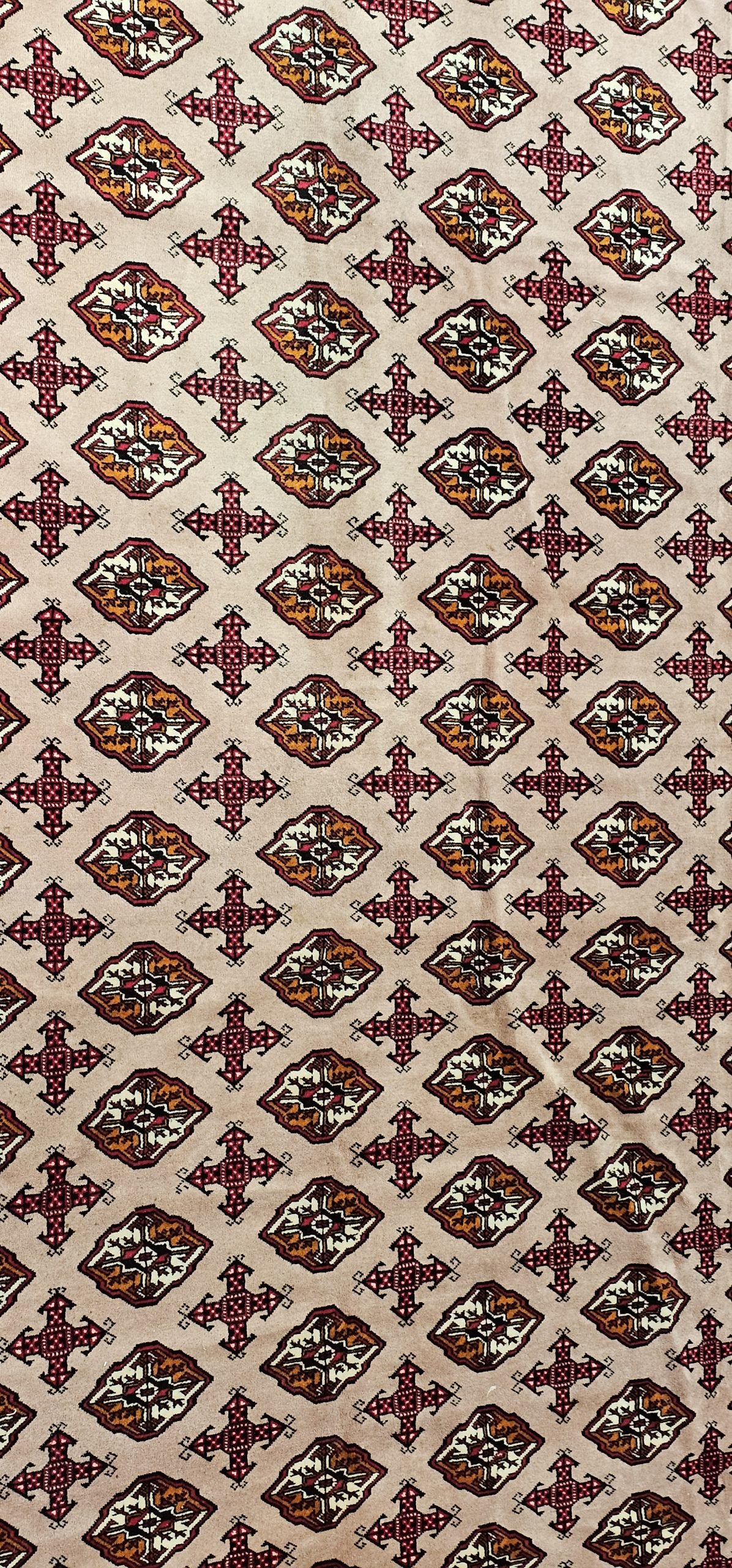 Pakistani Bukhara - Image 4