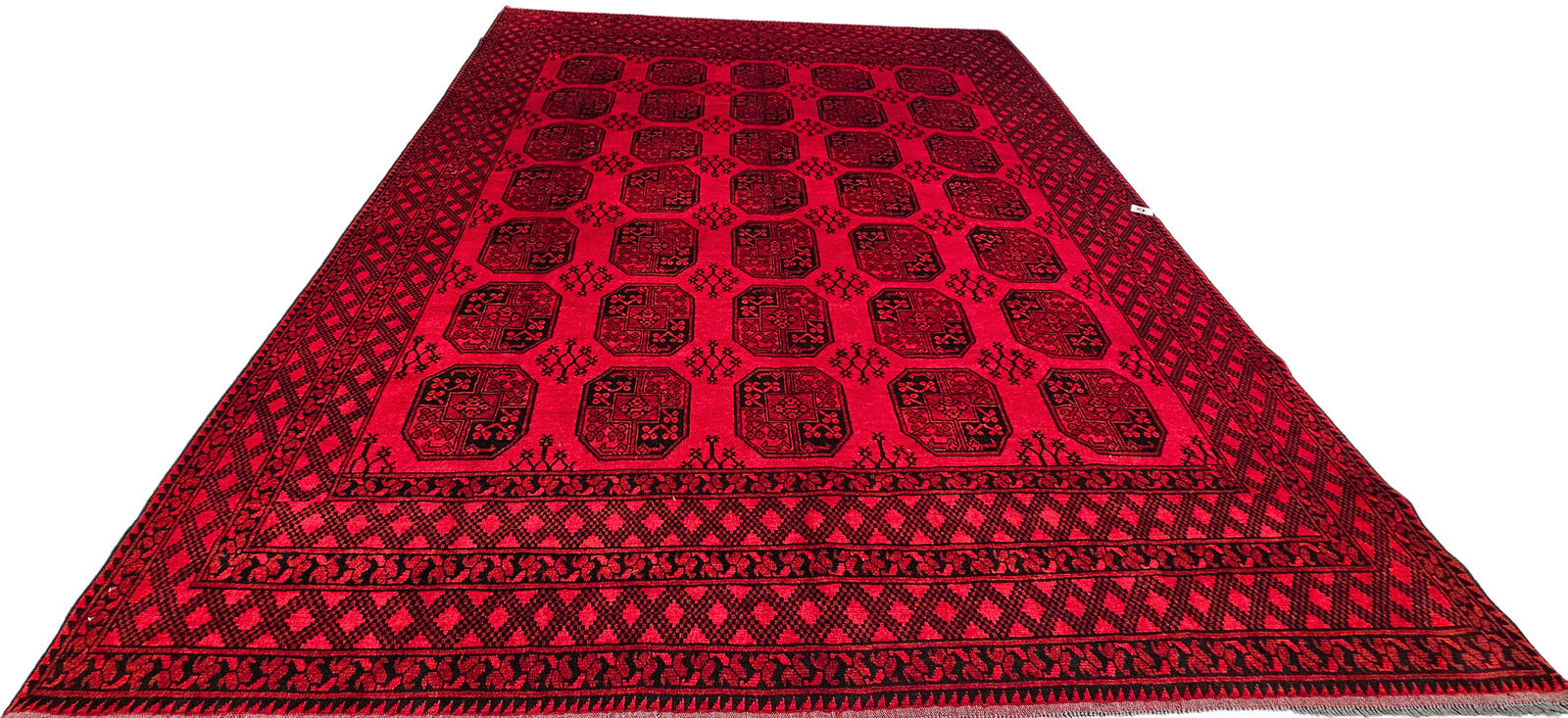 Persian Akcha - Image 3