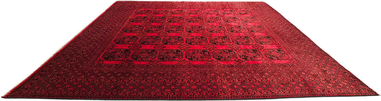 Persian Akcha - Image 4