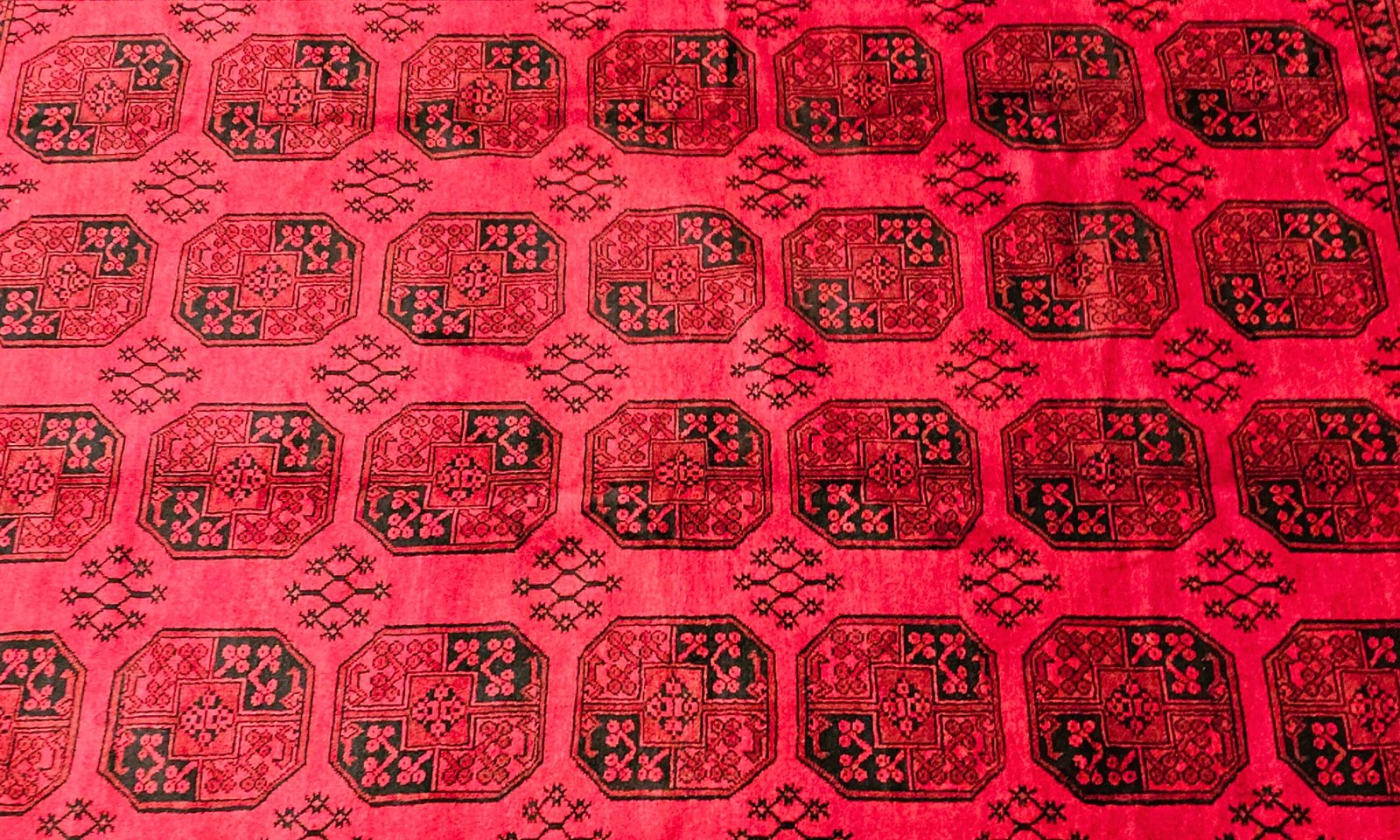 Persian Akcha - Image 5