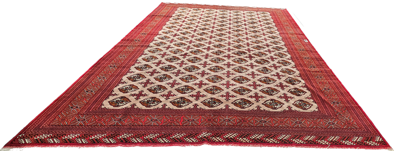 Pakistani Bukhara - Image 3