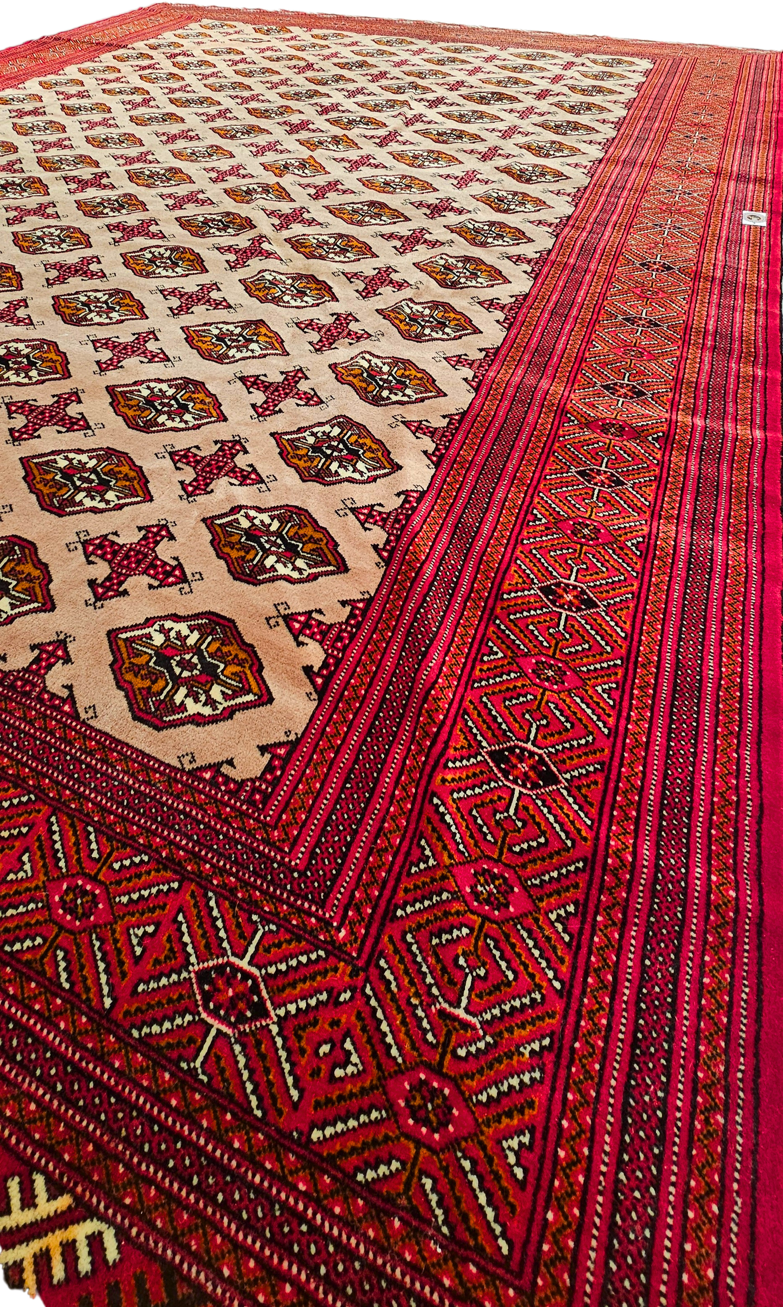 Pakistani Bukhara - Image 2